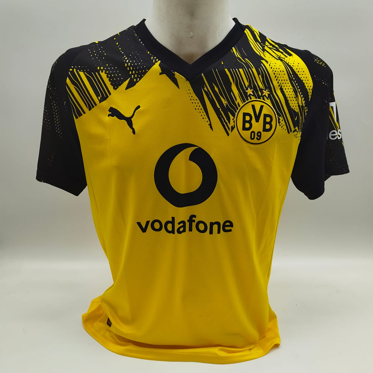 Borussia Dortmund Trikot Luca Reggiani signiert BVB Puma M 25/26