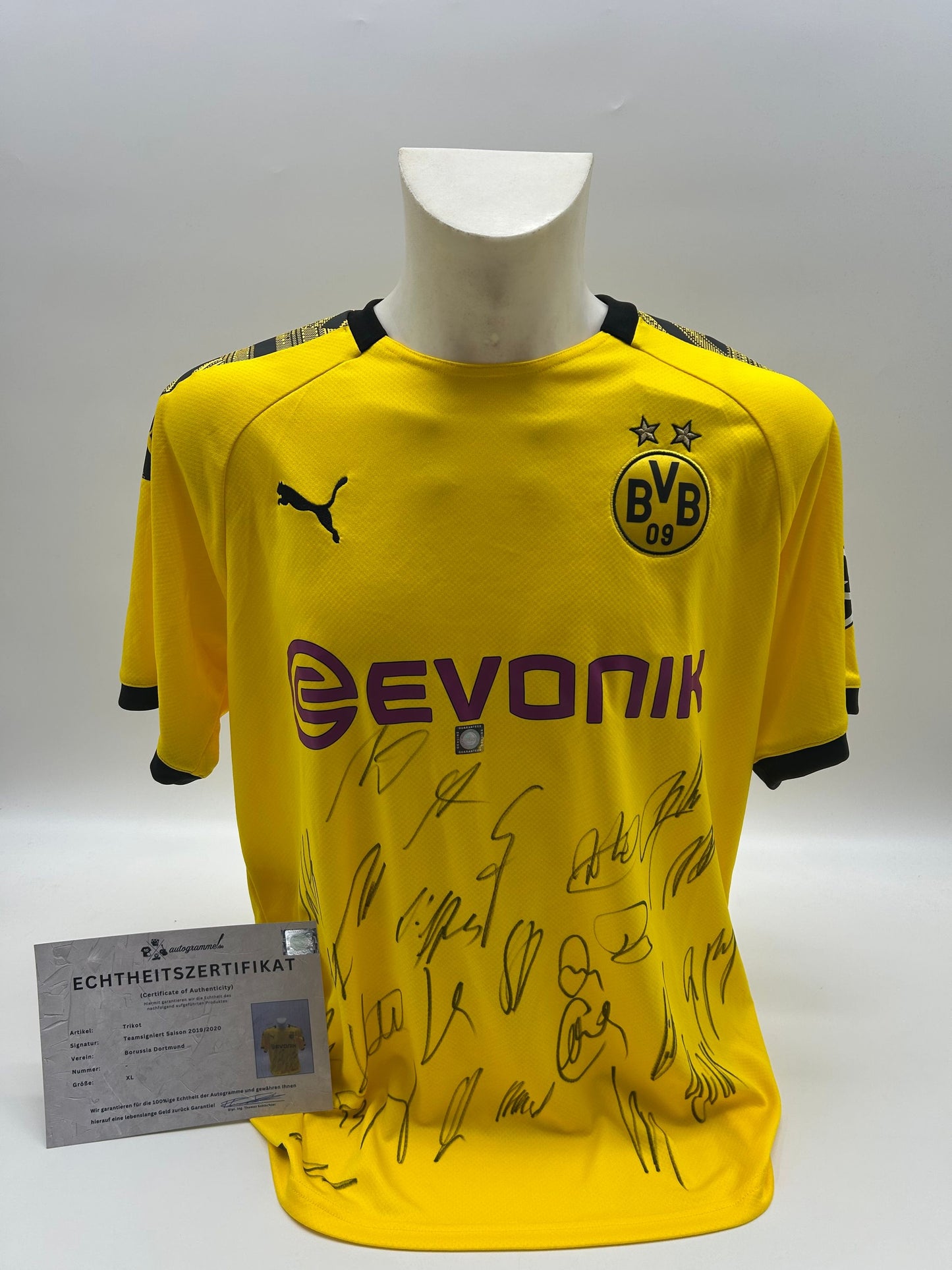 BVB Trikot 2019/2020 team signed Borussia Dortmund Coa Neu Puma XL