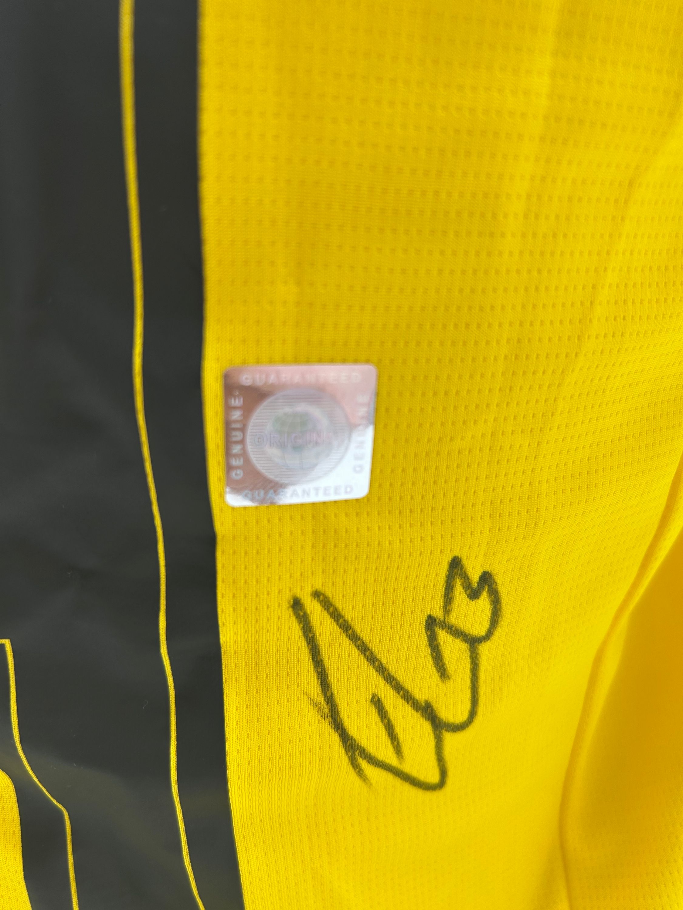 Borussia Dortmund jersey bvb emre can signed autograph puma m