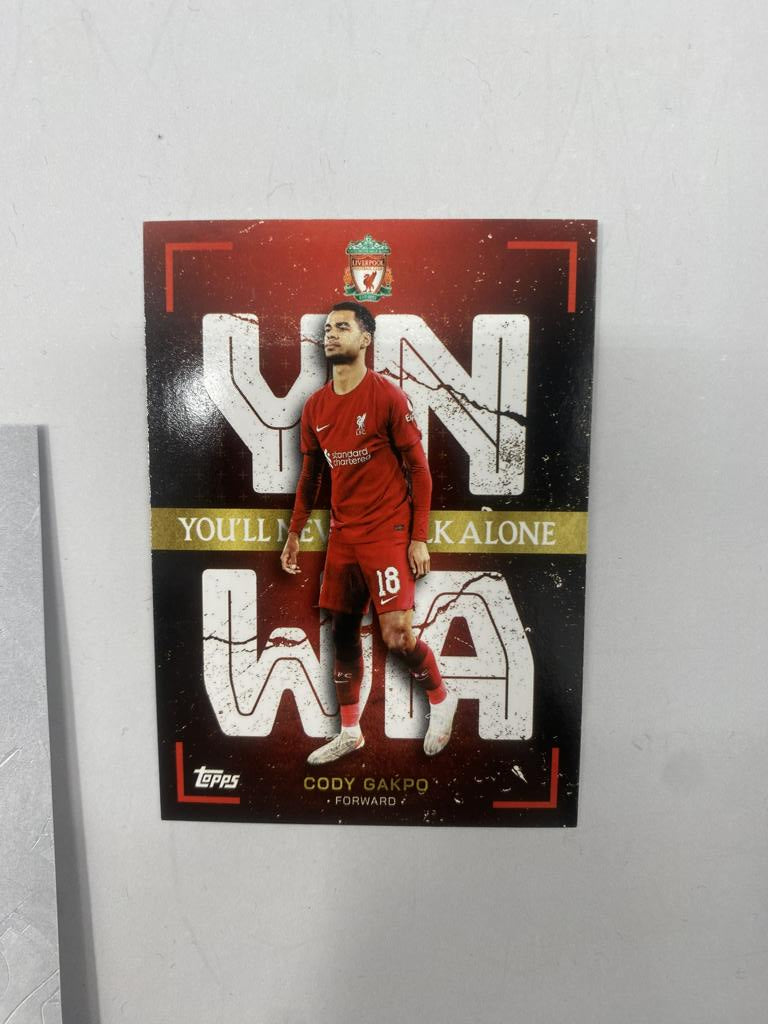 Kapitänsbinde Cody Gakpo signiert im Rahmen FC Liverpool Autogramm COA Fußball