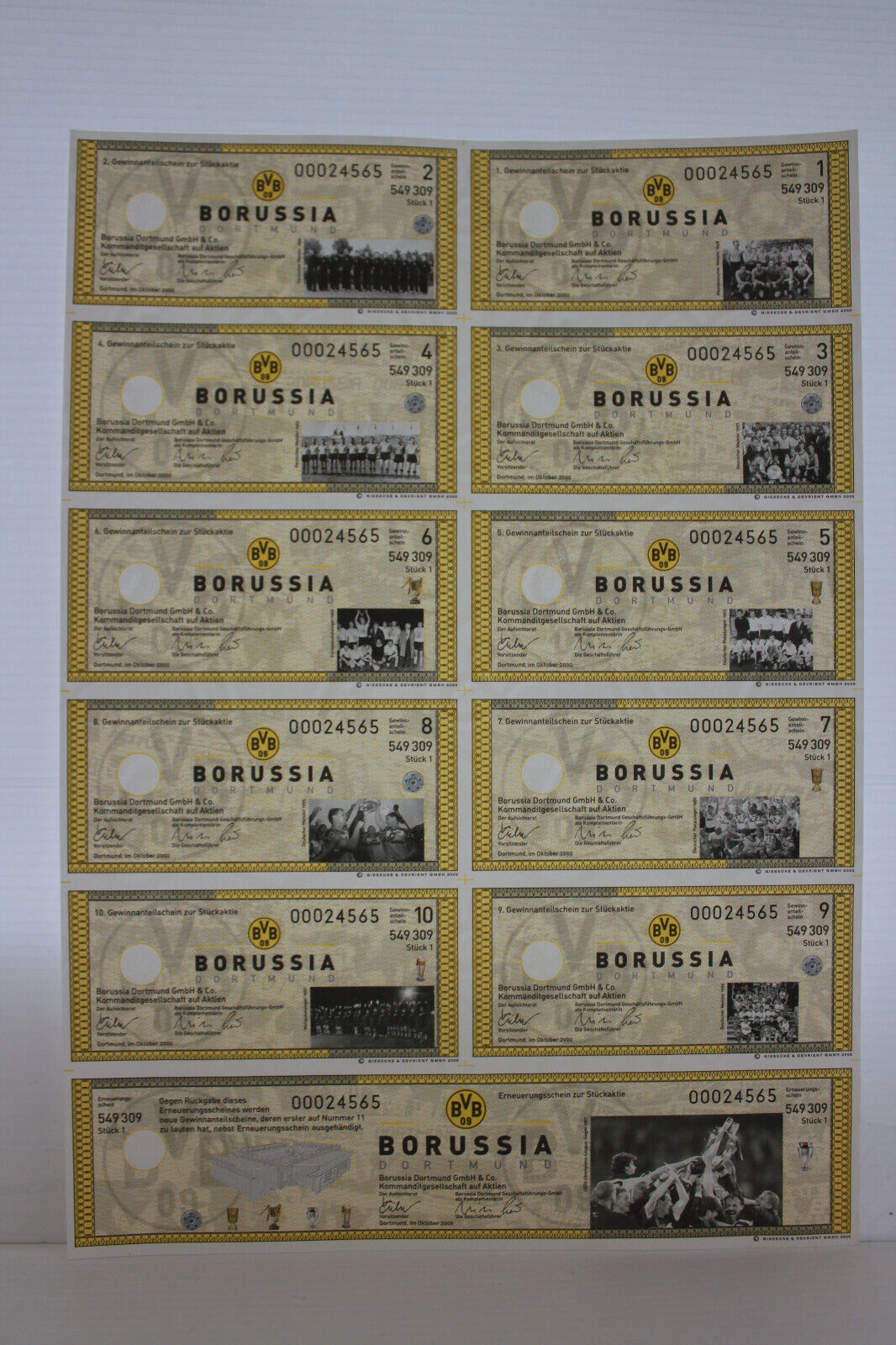 Original BVB Borussia Dortmund jewelry stock framed