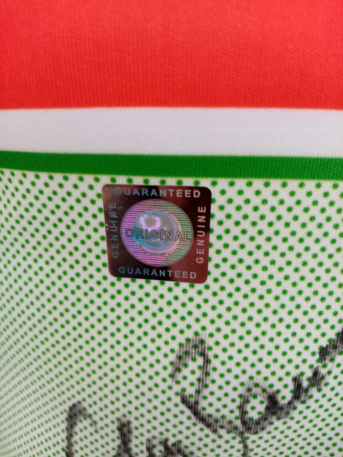 Training body worn Viola Bauer and signed autograph cross -country skiing jersey