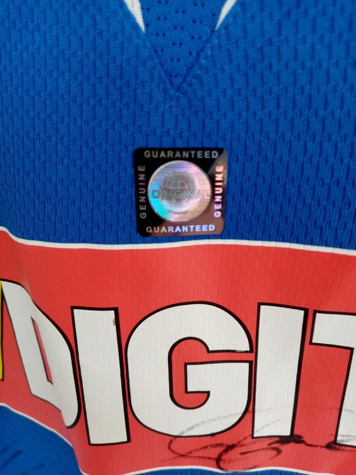 1899 Hoffenheim jersey 09/10 team signed autograph football bundesliga puma XL