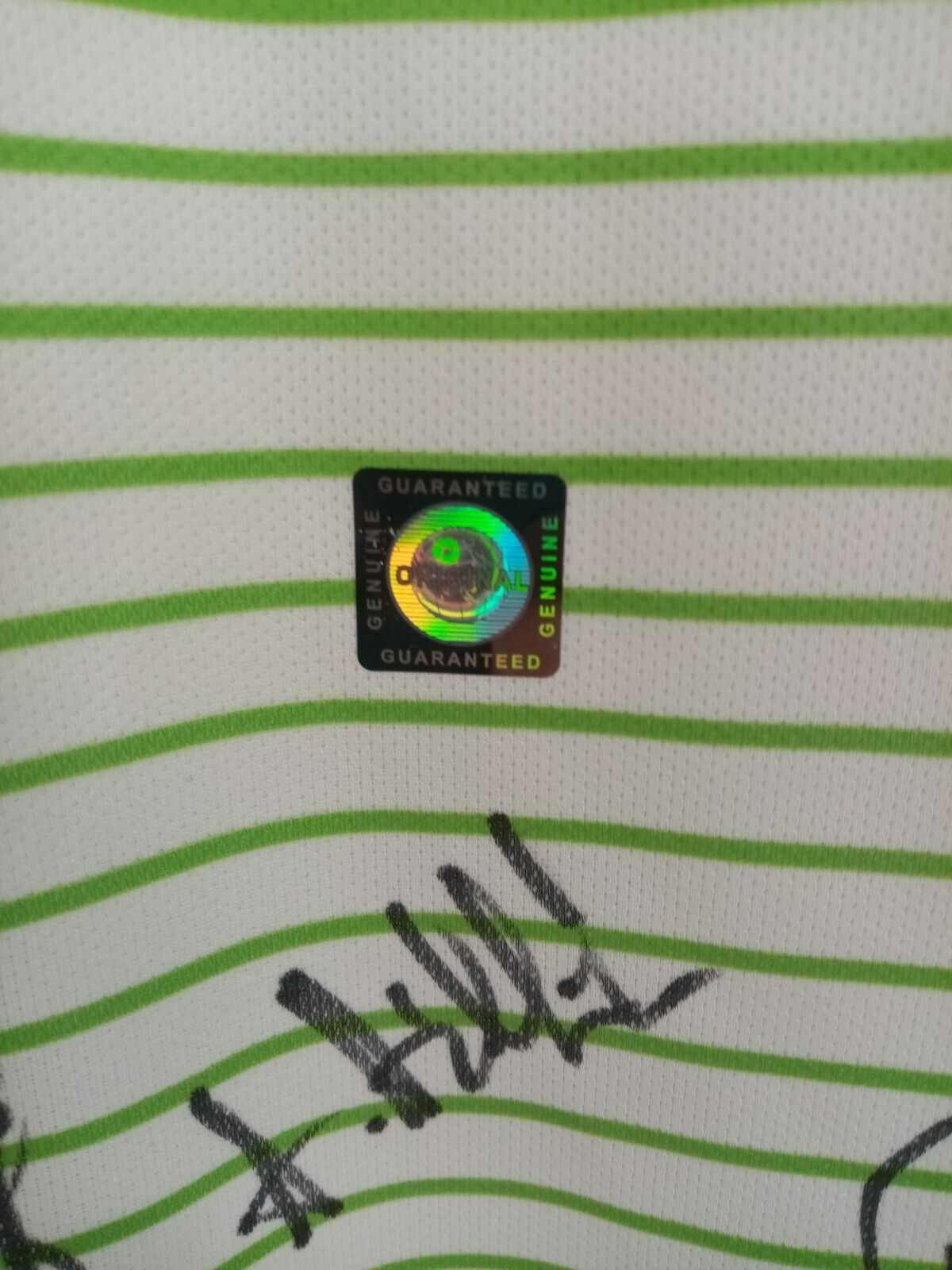 VfL Wolfsburg jersey 17/18 team signed wolves autograph football nike new coa l