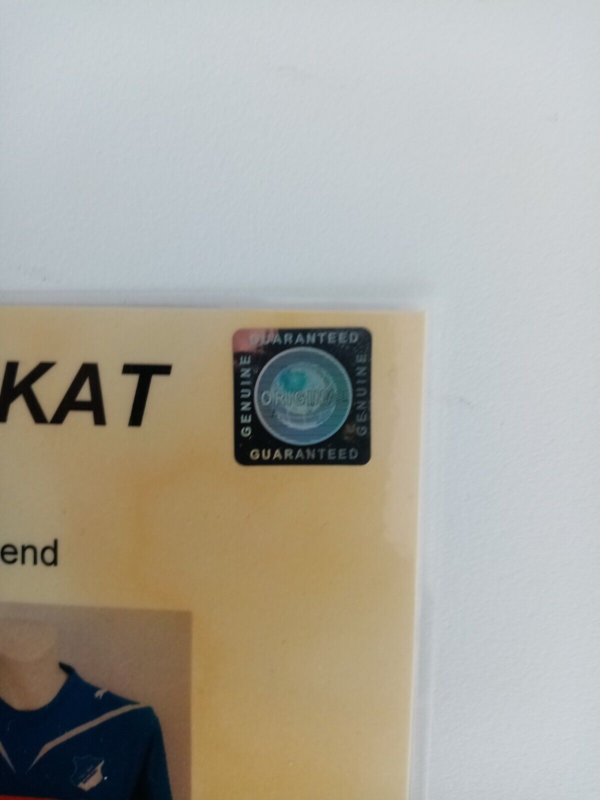 1899 Hoffenheim jersey 09/10 team signed autograph football bundesliga puma XL