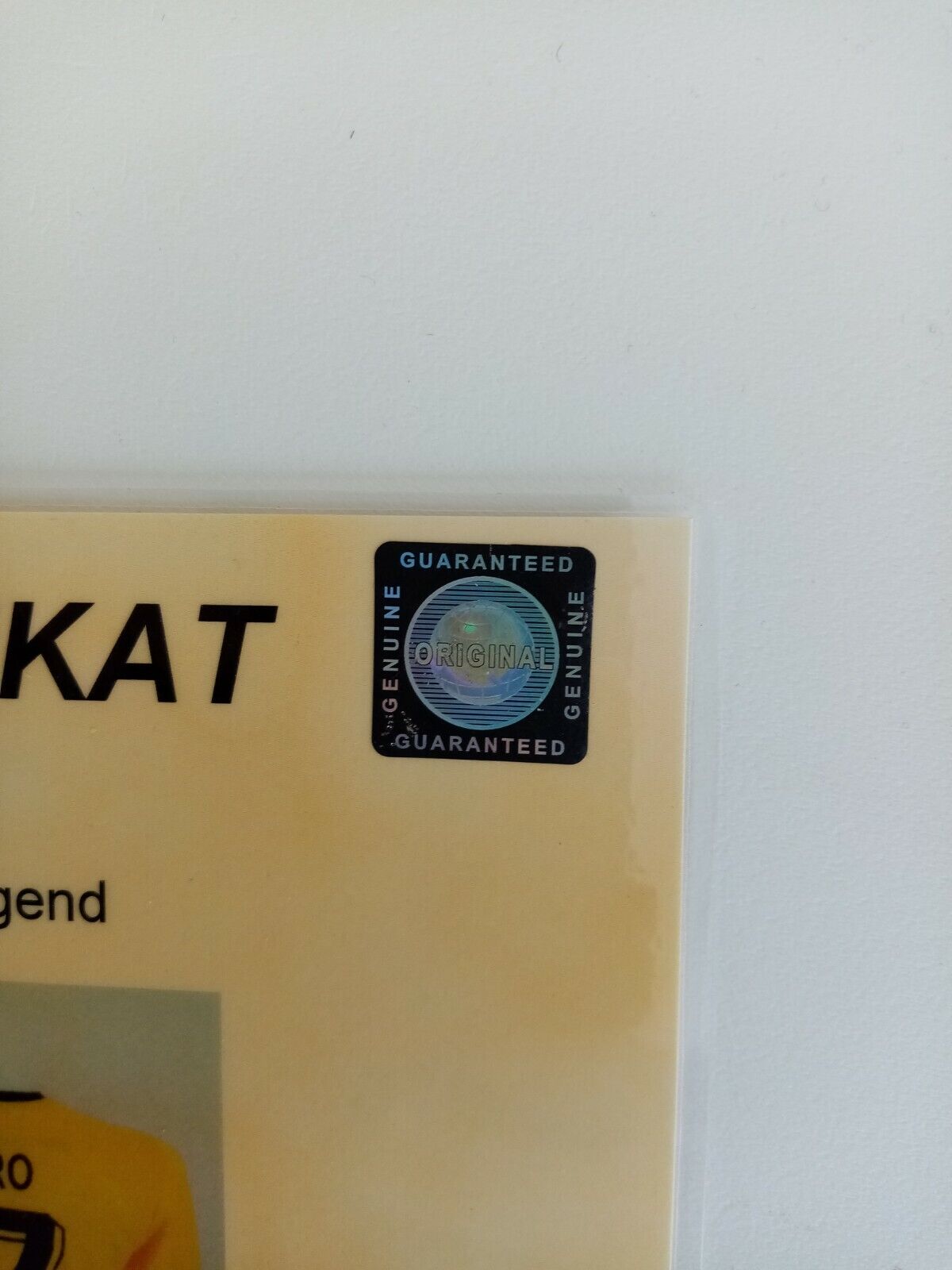 Borussia Dortmund jersey gonzalo Castro signed BVB autograph football puma 164