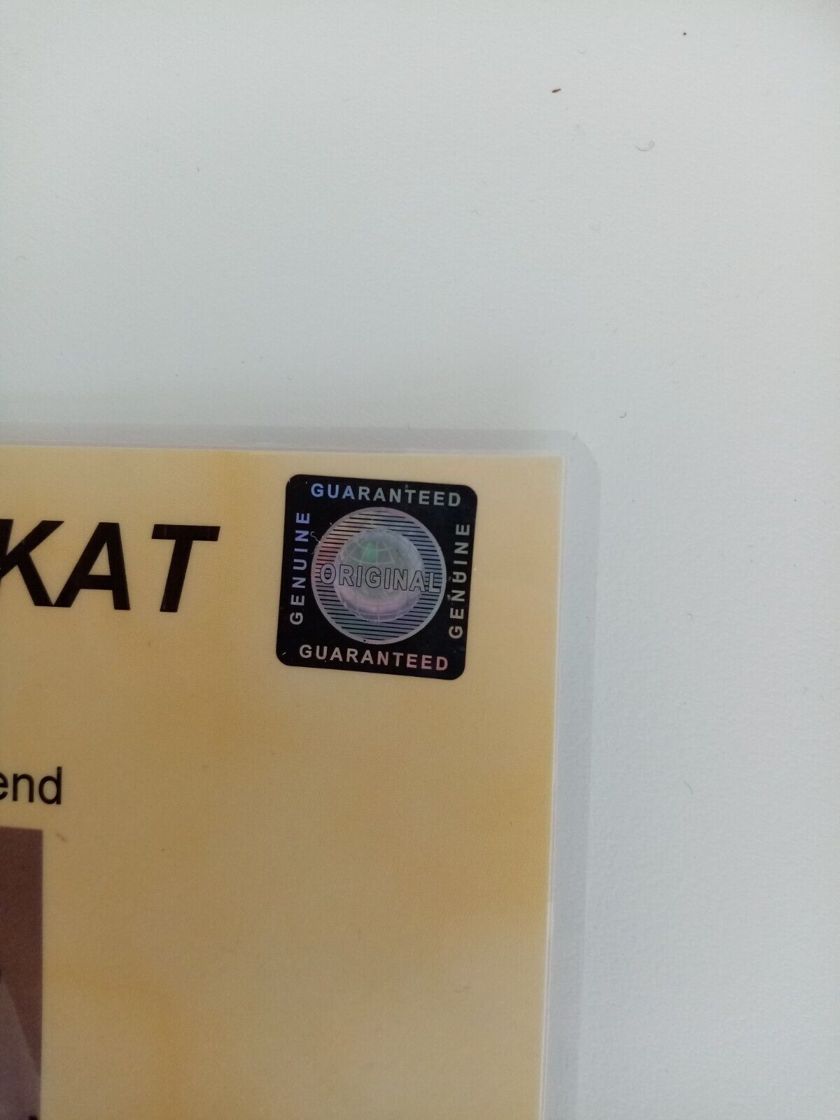 Germany jersey World Cup 2010 team signed DFB football autograph adidas new XL