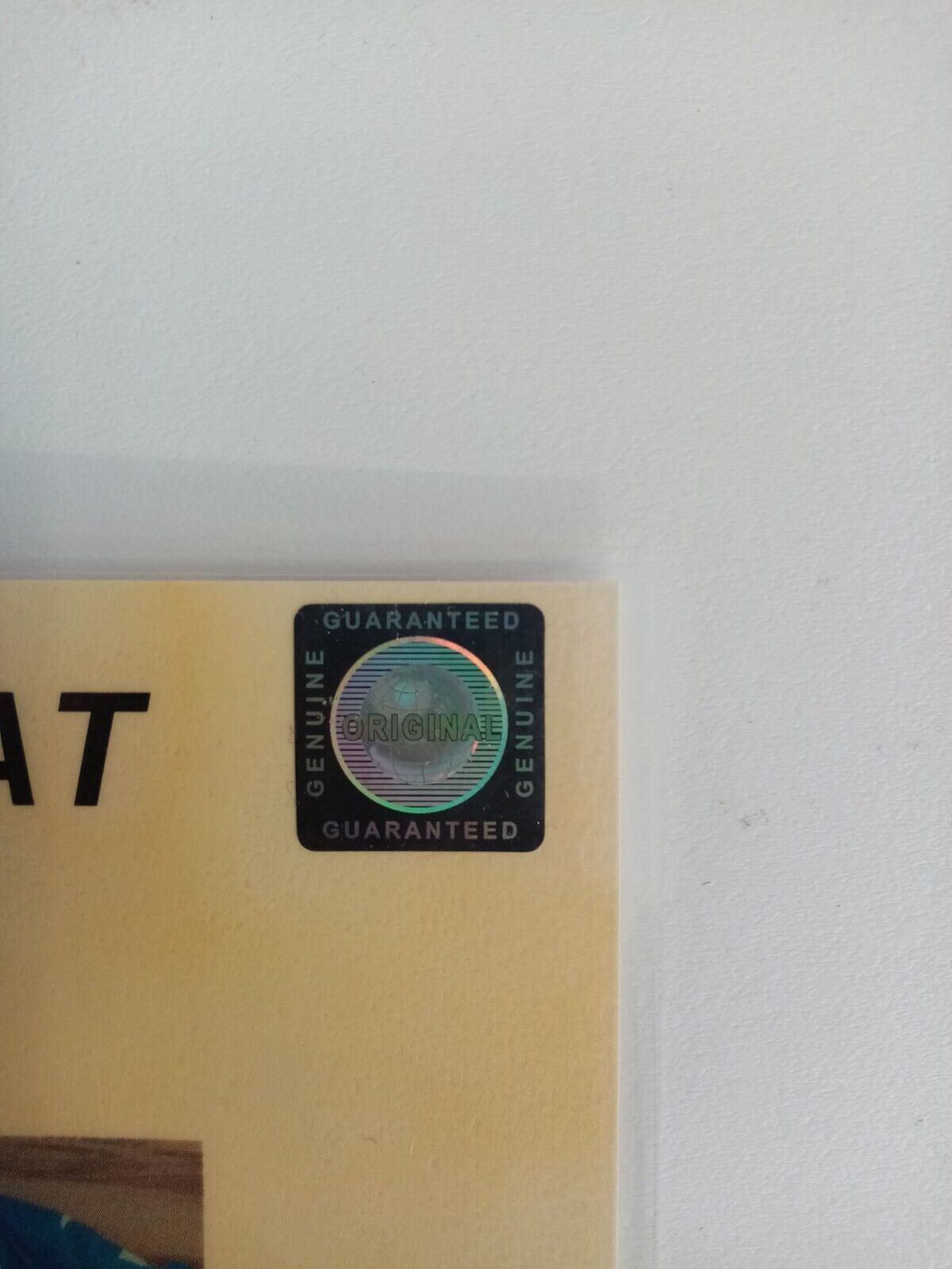 1899 Hoffenheim jersey 20/21 team signed autograph football bundesliga joma 4xl