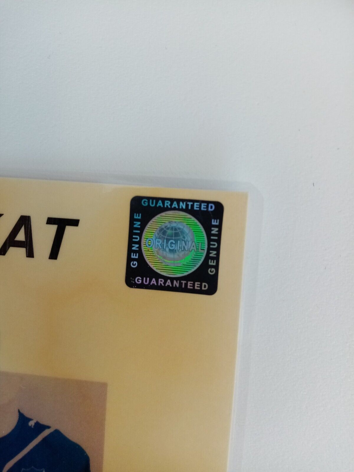 1899 Hoffenheim jersey 2009/2010 team signed autograph football, Bundesliga 164