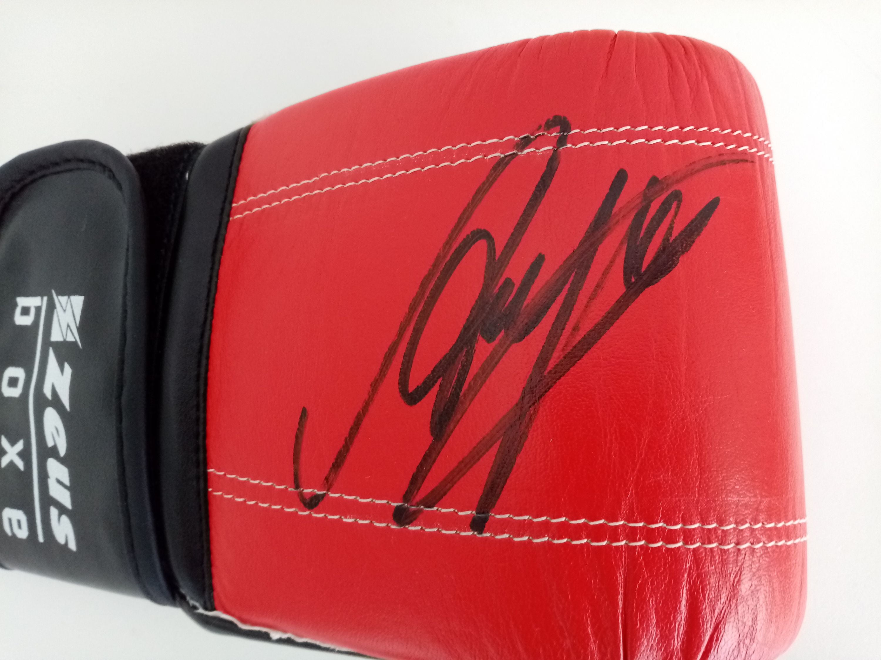 Sandbag glove Axel Schulz signed autograph signature boxing new coa