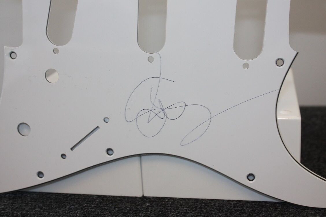 Gitarrenplatte, Susan Sarandon signiert, Neu, Film, Schauspielerin, Autogramm