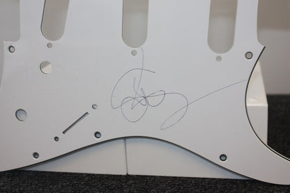 Guitar plate, Susan Sarandon signed, new, film, actress, autograph