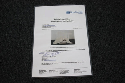 Guitar plate, Sven Ottke signed, autograph, boxing, new, collect, signature