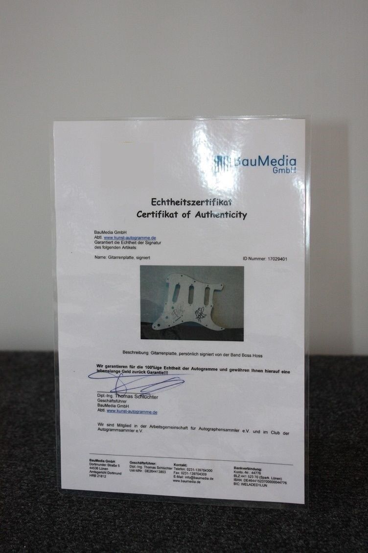 Guitar plate, bosshoss signed, autograph, music, charts, newly collect guitar