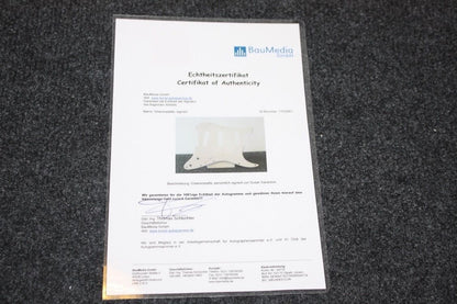 Guitar plate, Susan Sarandon signed, new, film, actress, autograph