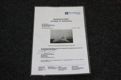 Guitar record, David Kross signed, film, television, cinema, autograph, collecting