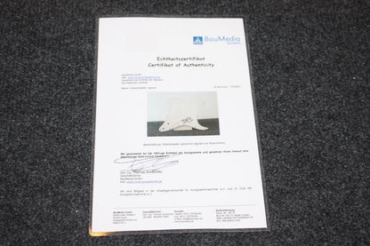 Guitar plate, Ross Antony signed, music television new jungle camp Schlager