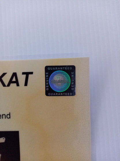 Guitar plate Joris signed music singer charts autograph new guitar