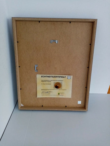 CD / Rohling Ross Antony signed with album as part of autograph music new charts