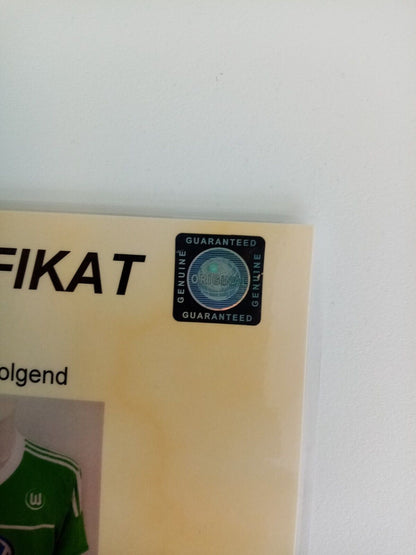 VfL Wolfsburg jersey 2012/2013 team signed wolves autograph adidas bundesliga XL