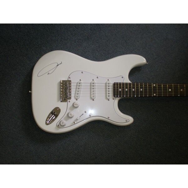 E-guitar, guitar signed by Michael Wendler