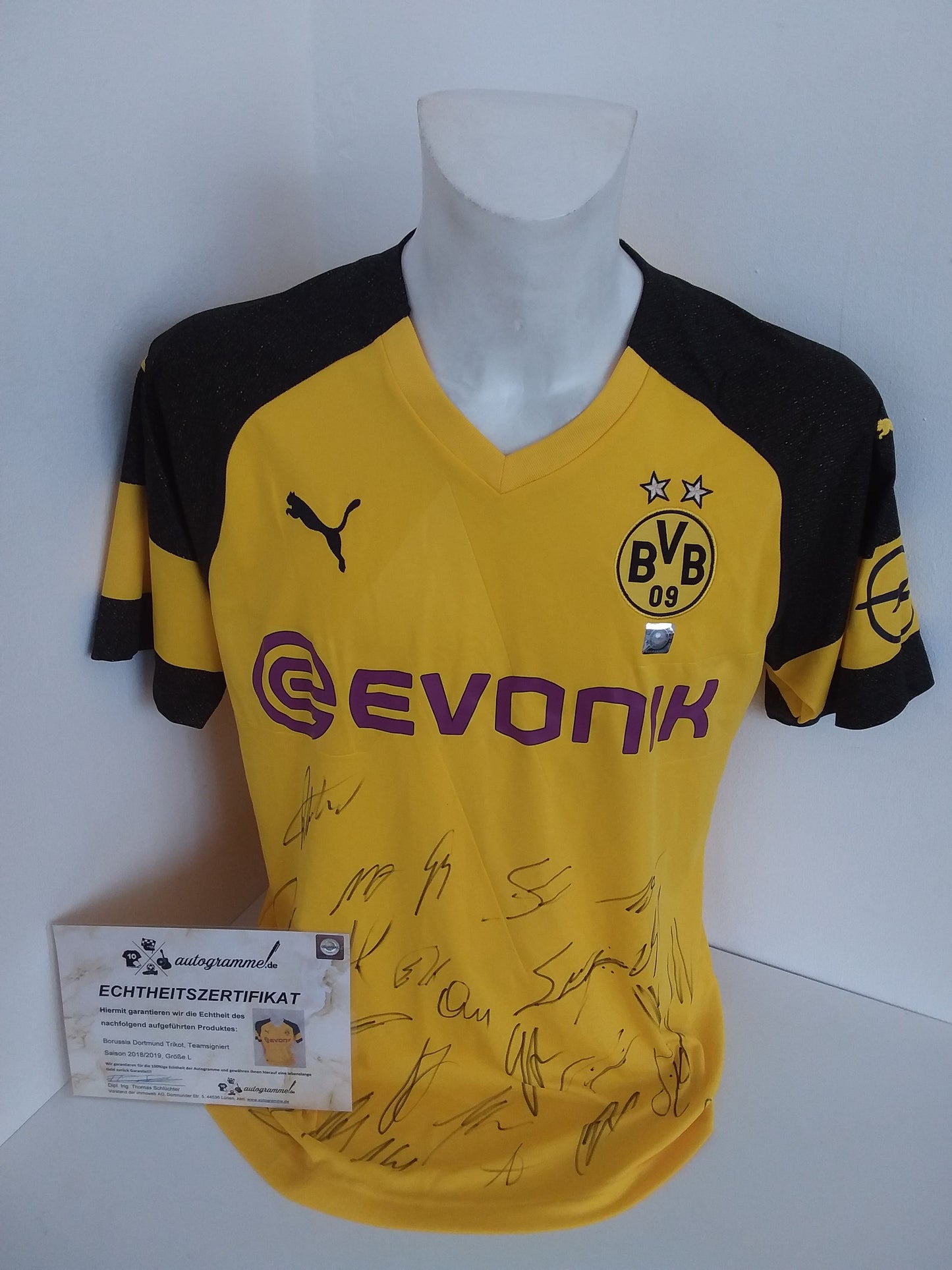 BVB Jersey 2018/2019 Team Signed Borussia Dortmund Autograph COA Puma L