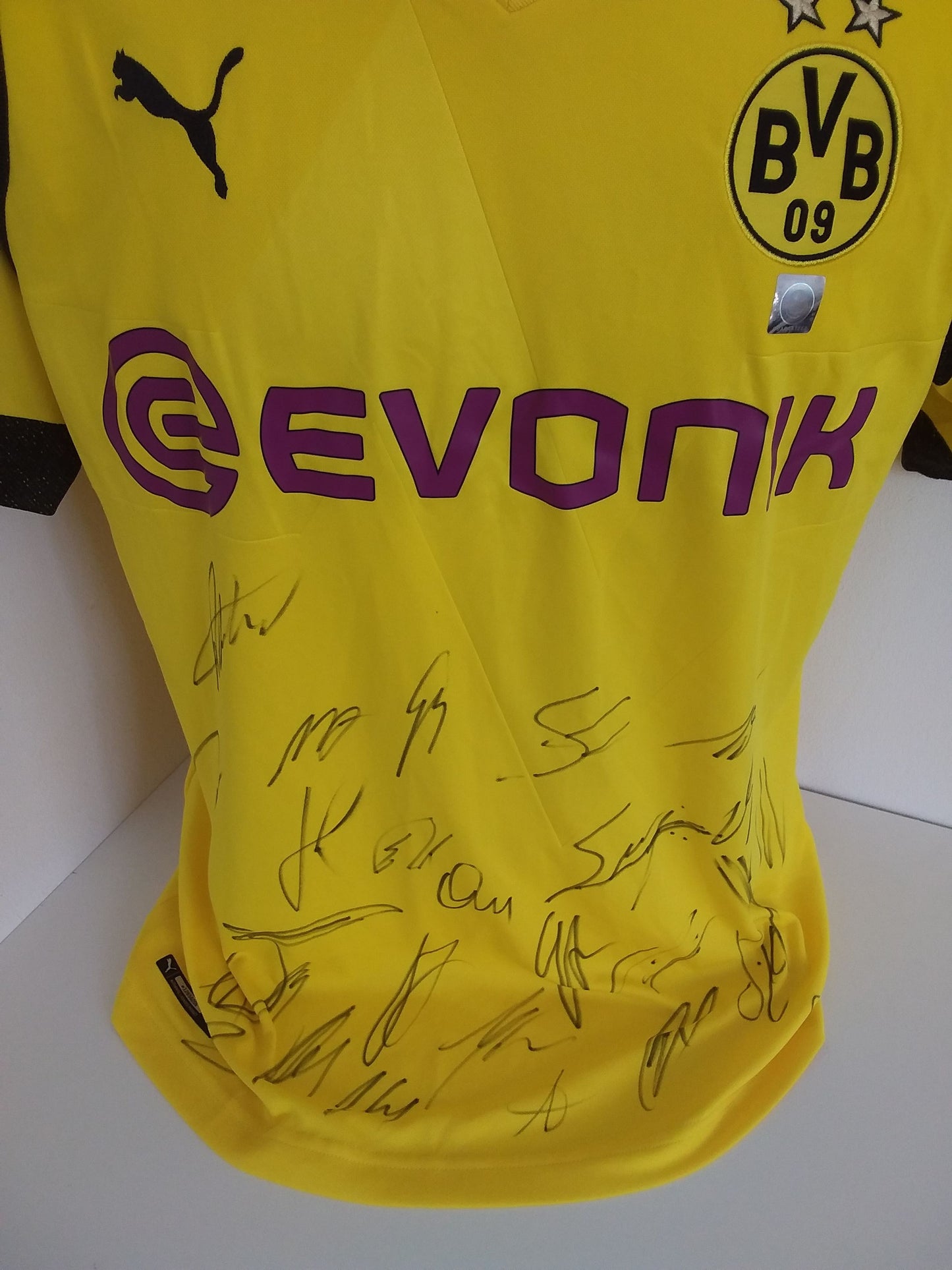 BVB Jersey 2018/2019 Team Signed Borussia Dortmund Autograph COA Puma L