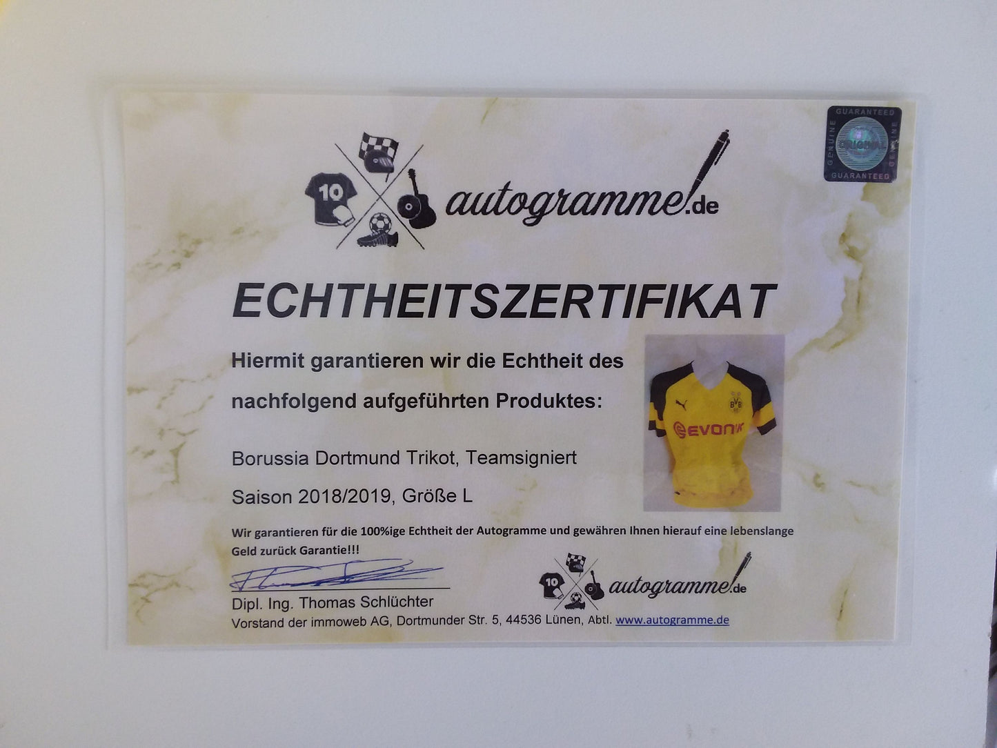 BVB Jersey 2018/2019 Team Signed Borussia Dortmund Autograph COA Puma L