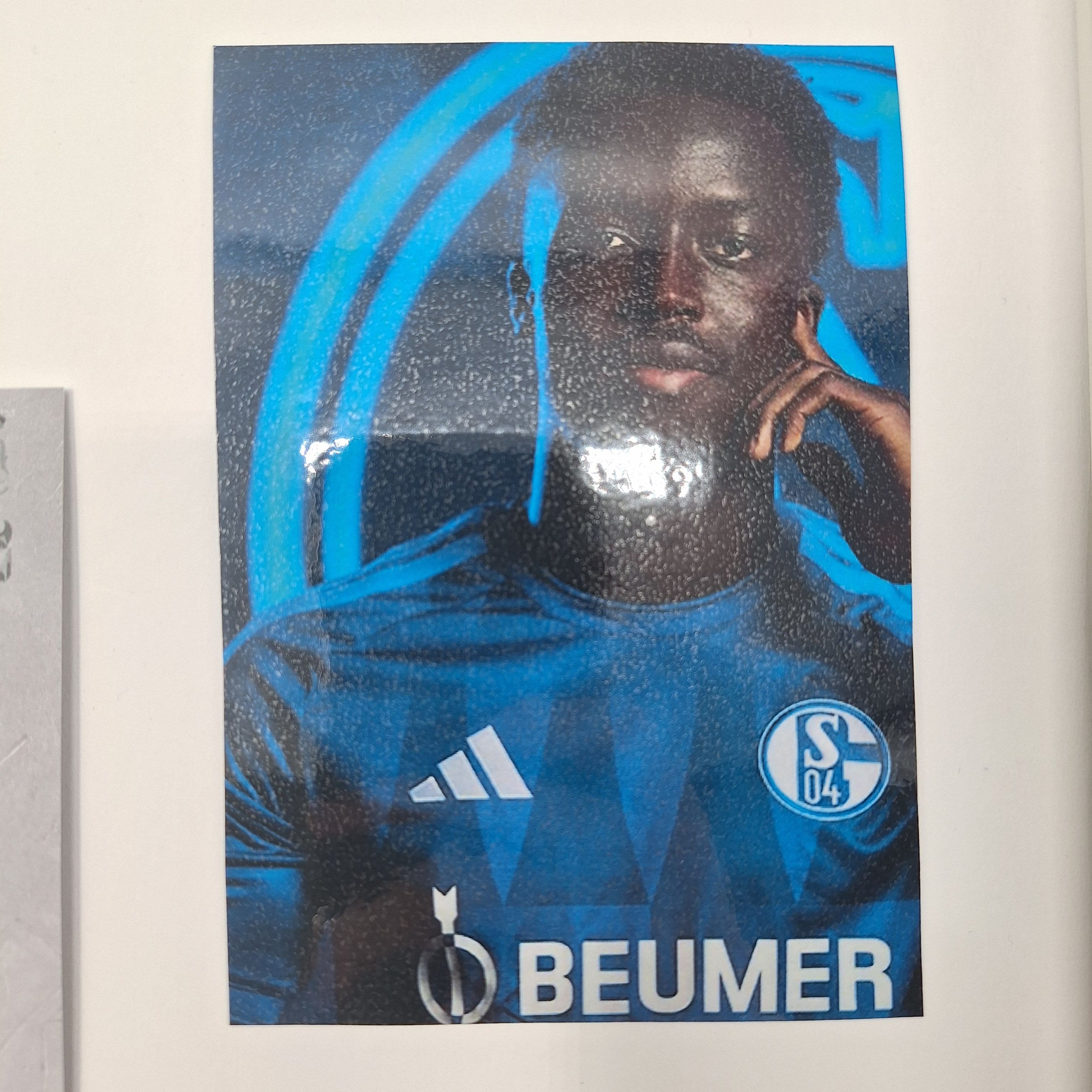 Kapitänsbinde Christian Gomis signiert im Rahmen Schalke 04 COA grün