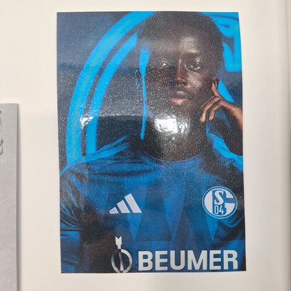 Kapitänsbinde Christian Gomis signiert im Rahmen Schalke 04 COA grün