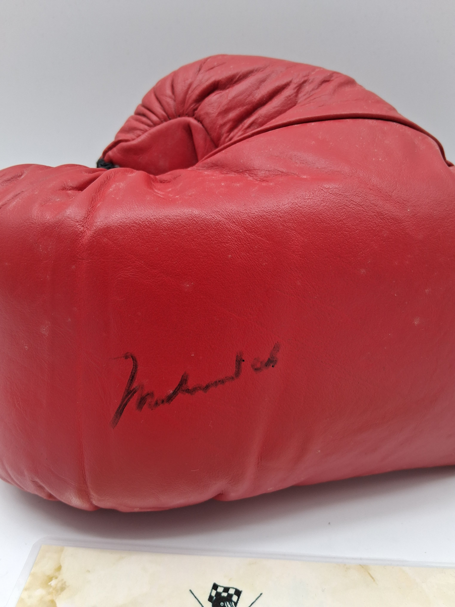 Boxing glove signed by Muhammad Ali, autographed.
