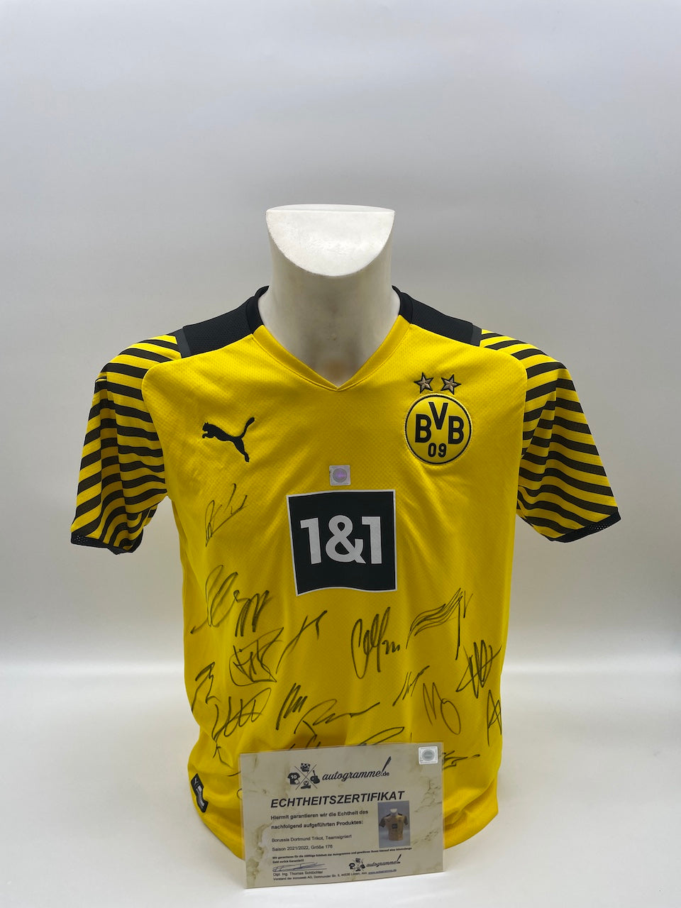 BVB Trikot 2021/2022 team signed Borussia Dortmund Coa Neu Puma 176