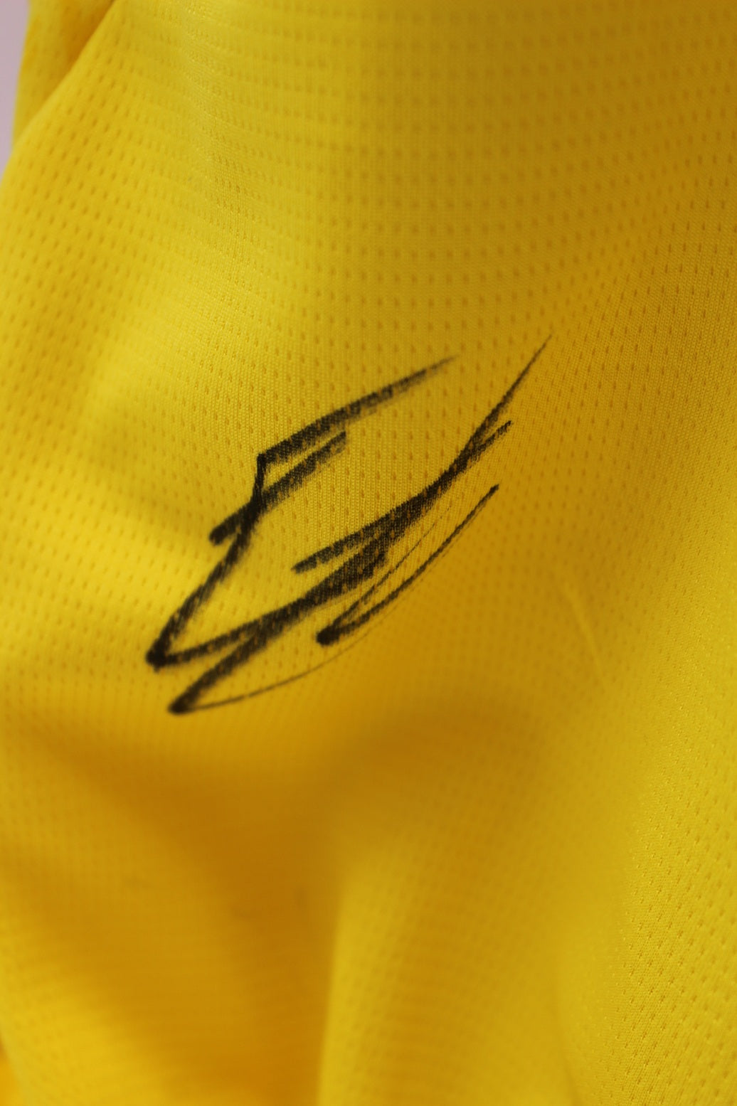 Borussia Dortmund Trikot Ethan Nwaneri COA BVB Puma neu L 26/27
