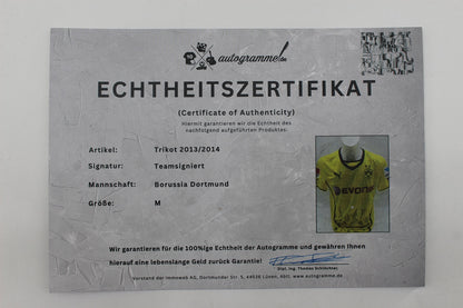 BVB Trikot 2013/2014 Teamsigniert Borussia Dortmund Puma Neu M