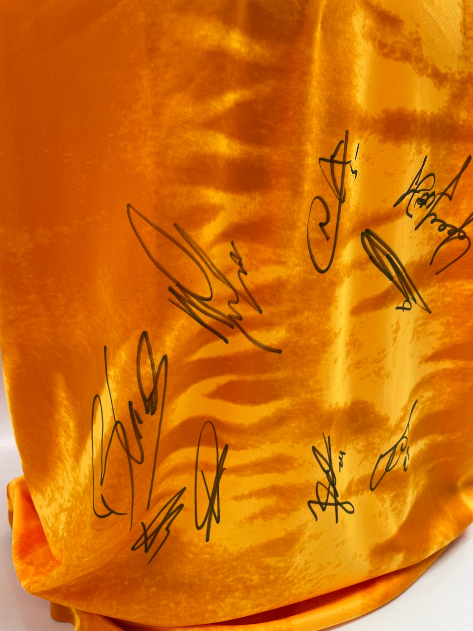Netherlands jersey World Cup 2022 team signed autograph Holland Nike XL