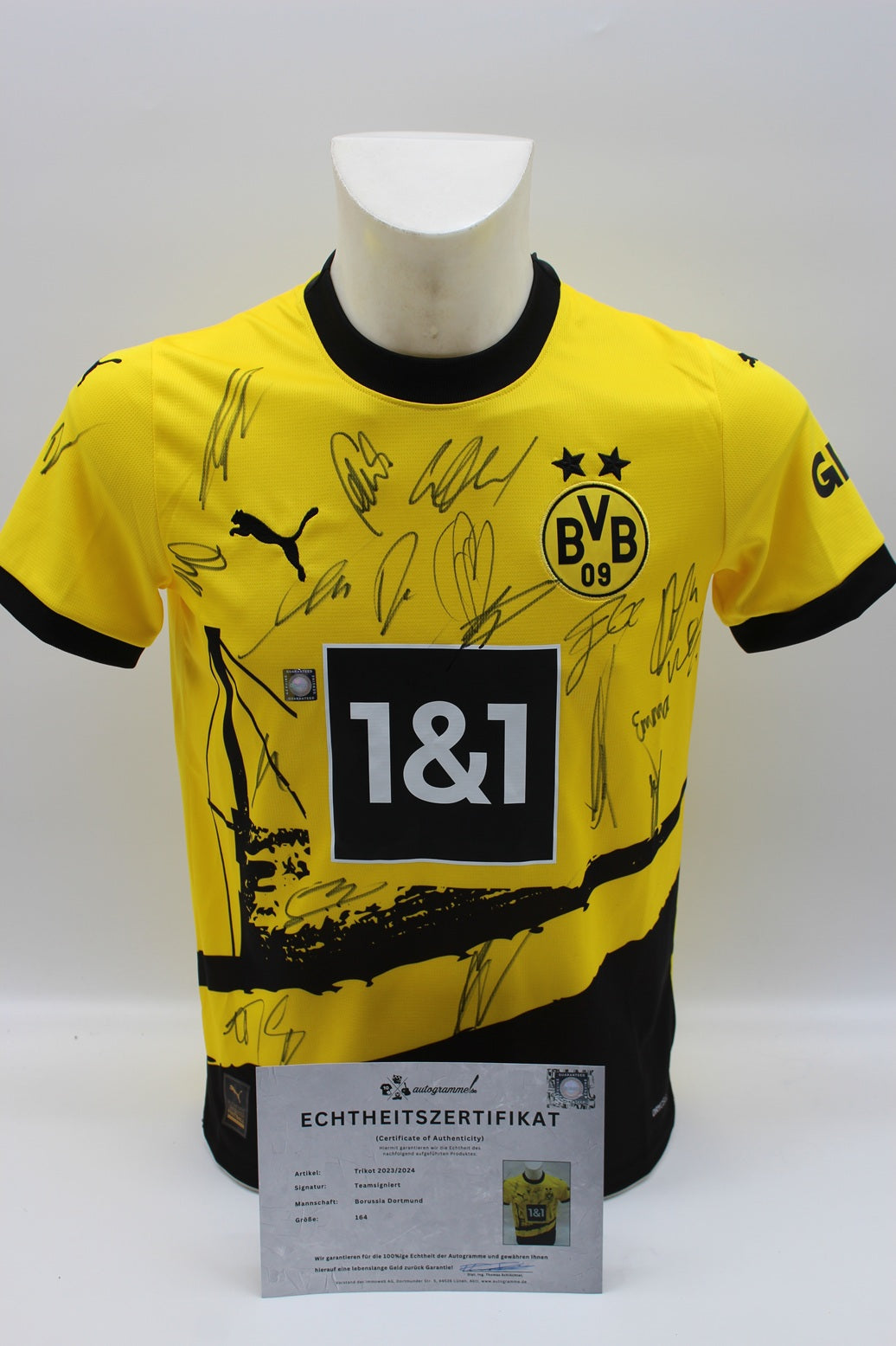 BVB Trikot 2023/2024 Teamsigniert Borussia Dortmund Puma Neu 164