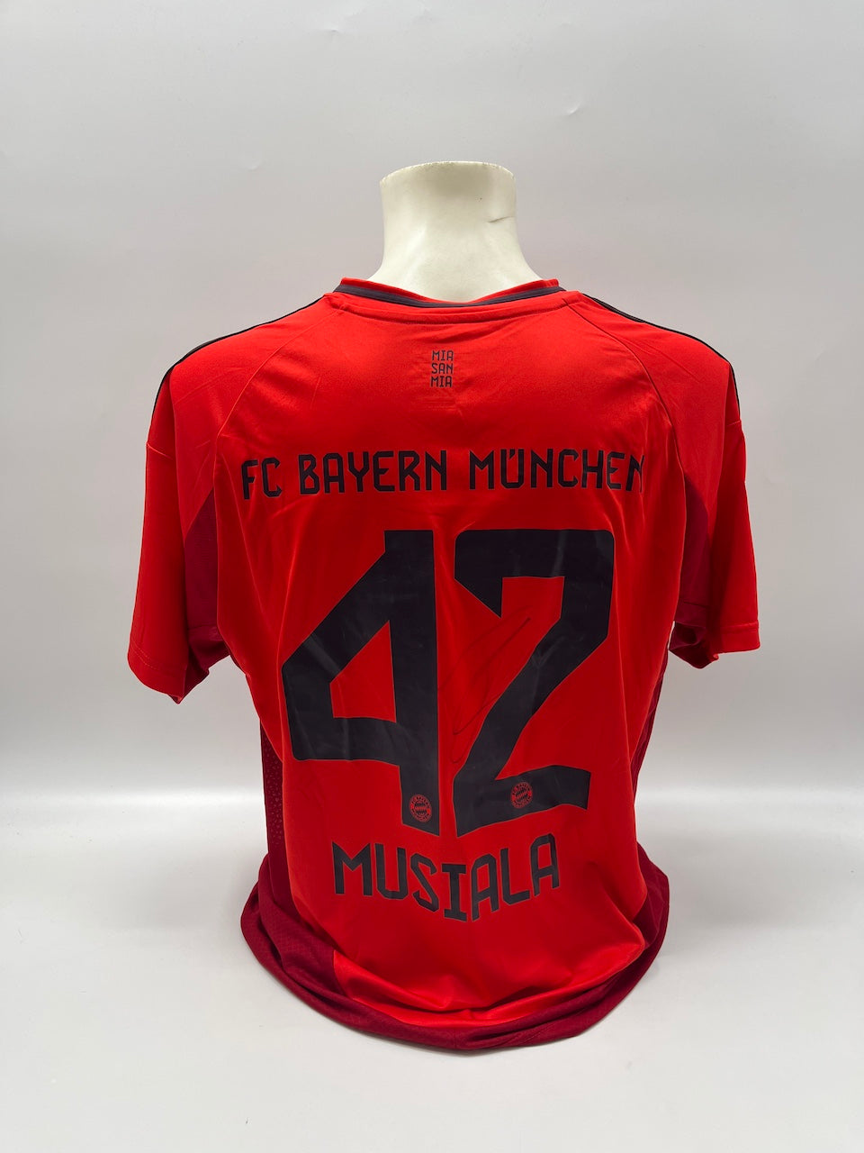 Bayern München Trikot 2024/2025 Teamsigniert Autogramm Adidas XL