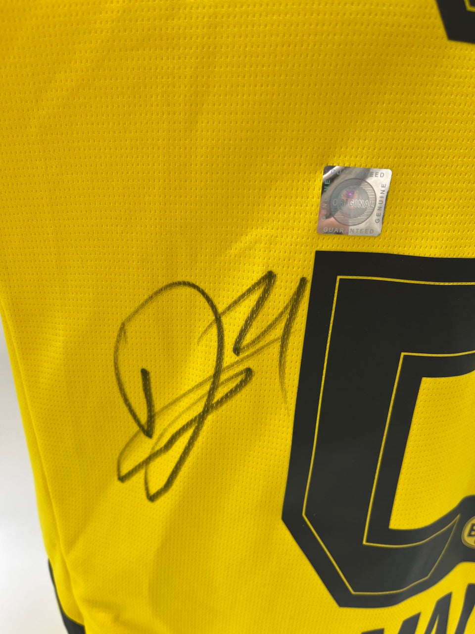 Borussia Dortmund Trikot Donyell Malen signiert BVB Puma M