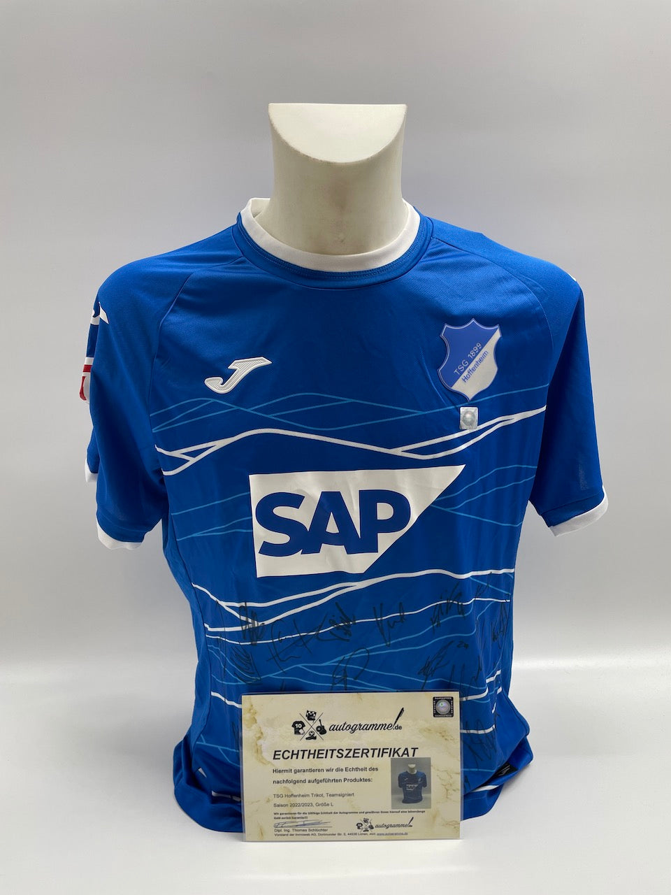 TSG Hoffenheim Jersey 2022/2023 Team Signed Autograph Bundesliga Joma TSG L