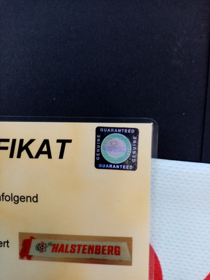 RB Leipzig fanschal Halstenberg signed Coa autograph football scarf red bull