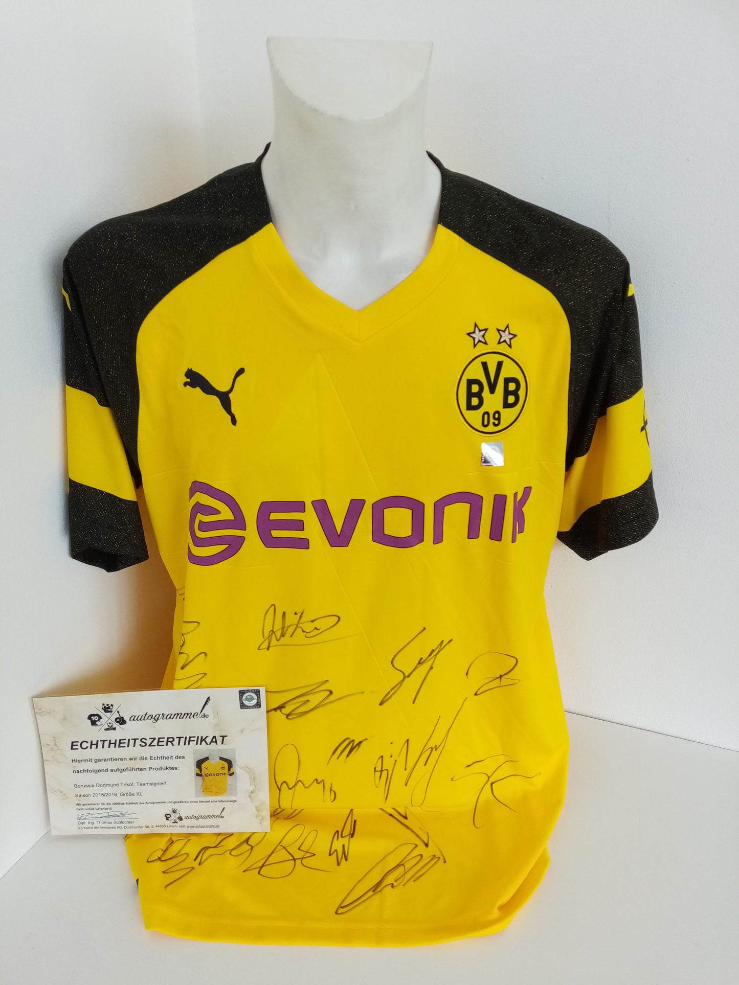 BVB Jersey 18/19 Team Signed Borussia Dortmund Autograph Signature Puma XL