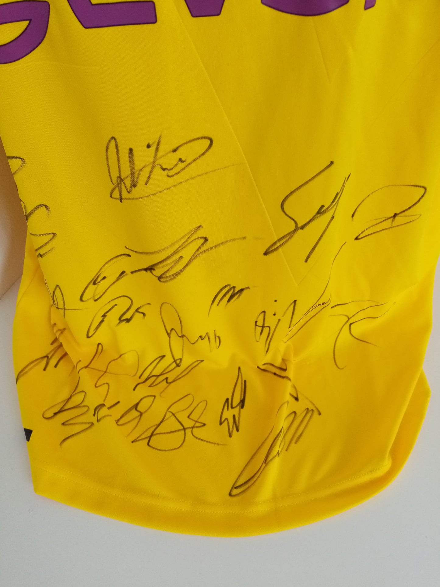 BVB Jersey 18/19 Team Signed Borussia Dortmund Autograph Signature Puma XL