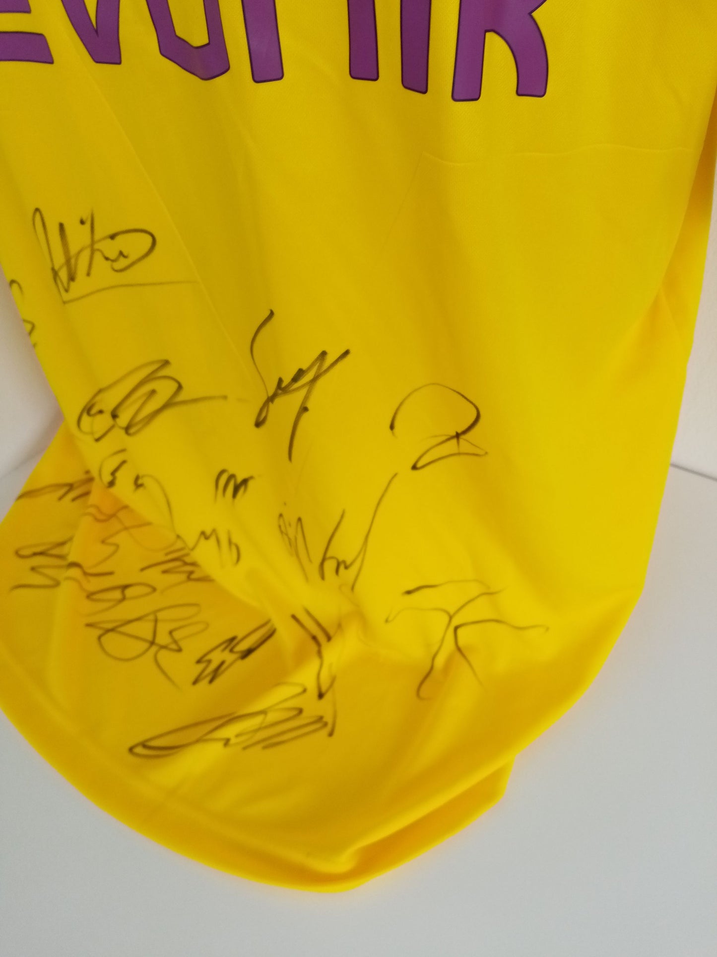 BVB Jersey 18/19 Team Signed Borussia Dortmund Autograph Signature Puma XL