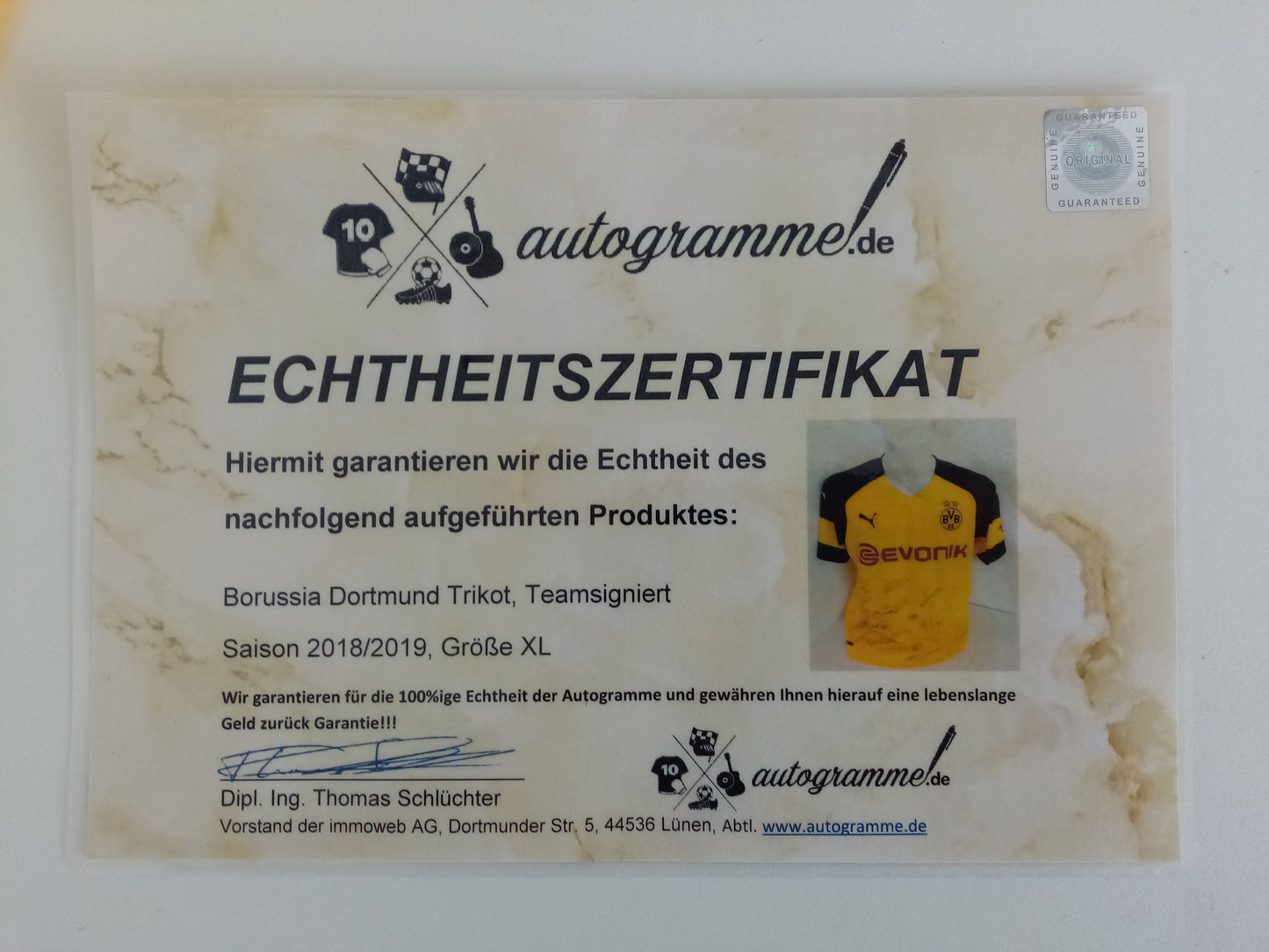 BVB Jersey 18/19 Team Signed Borussia Dortmund Autograph Signature Puma XL