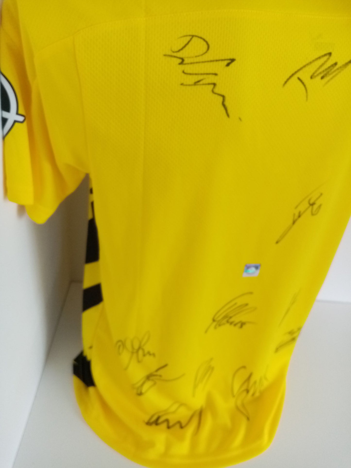 BVB Jersey 2020/2021 Team Signed Borussia Dortmund Autograph COA New Puma M