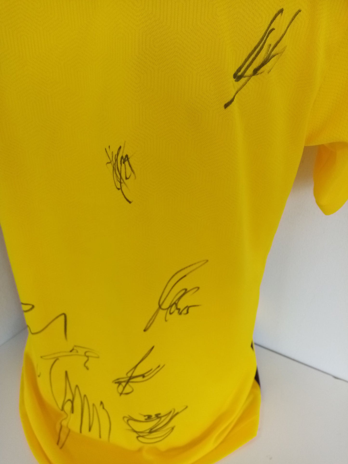 BVB Authentic jersey 2020/2021 team signed Borussia Dortmund COA Puma M