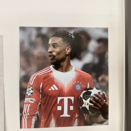 Kapitänsbinde Michael Olise signiert im Rahmen Bayern München