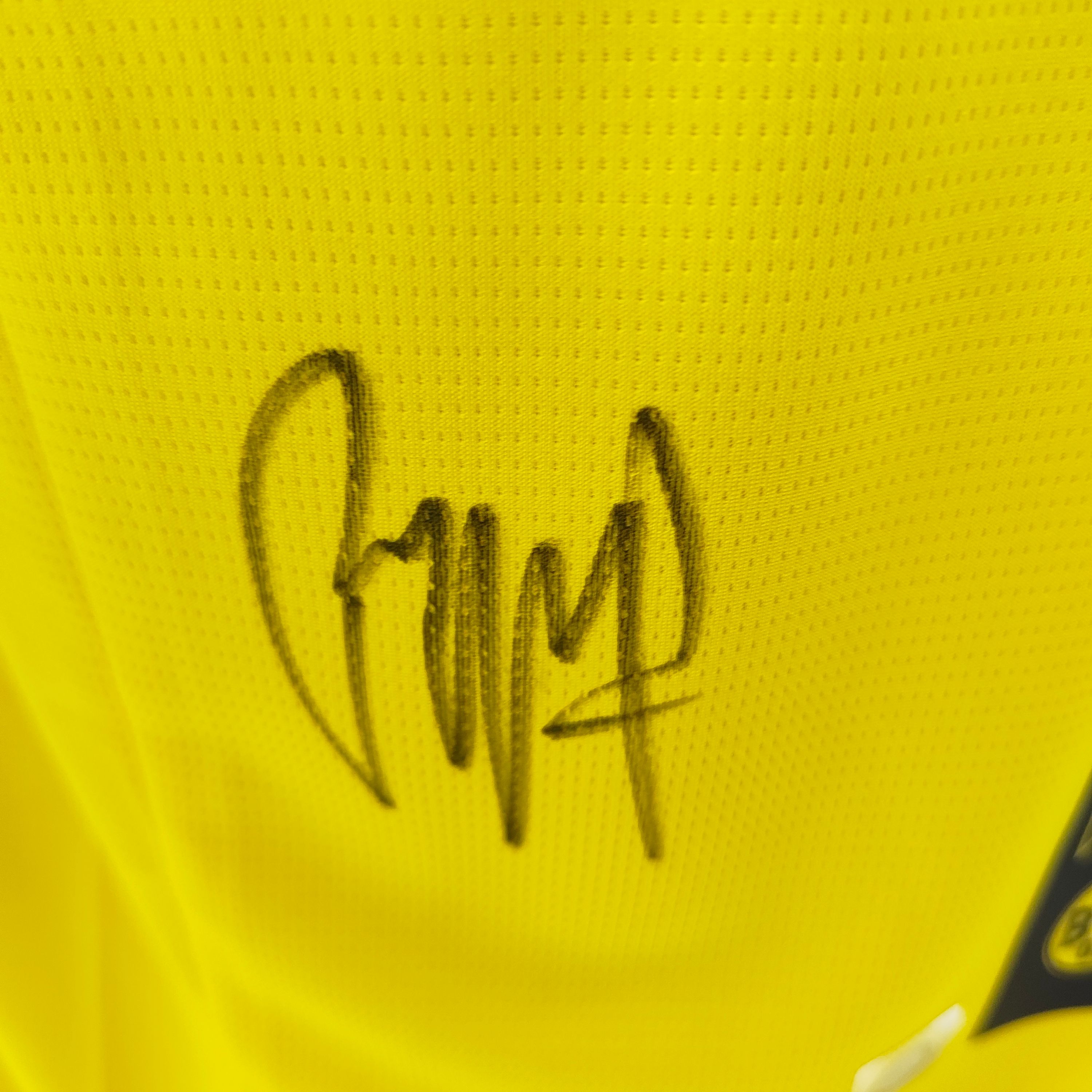 Borussia Dortmund Trikot Pascal Groß signiert Puma Autogramm M