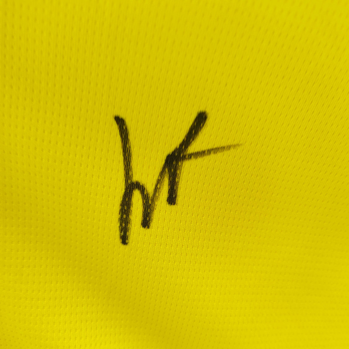 Borussia Dortmund Trikot Luca Reggiani signiert BVB Puma L 25/26