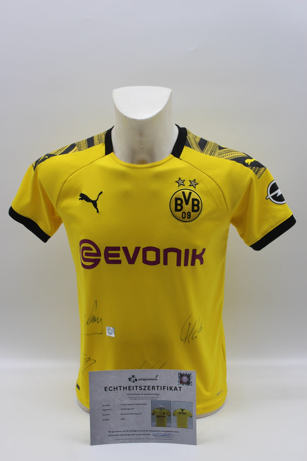BVB Trikot 2019/2020 Teamsigniert Borussia Dortmund Puma Neu 164